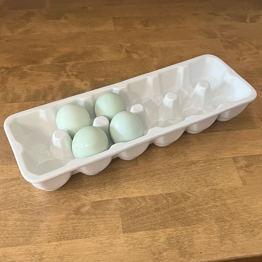 Crate & Barrel One Dozen White Hand-glazed Porcelain Egg Crate Carton
